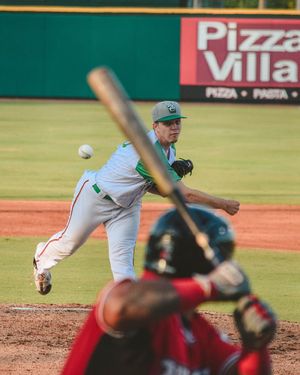 Image post by @gowoodducks on Instagram