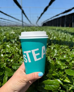 Image post by @davidstea on Instagram