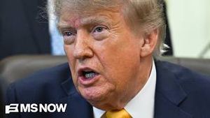 Video post by @msnbc on YouTube