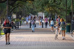 Image post by @tamu on Instagram