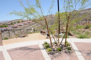 Image post by @cityofhenderson on Instagram