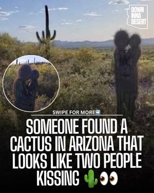 Image post by @downinnadesert on Instagram