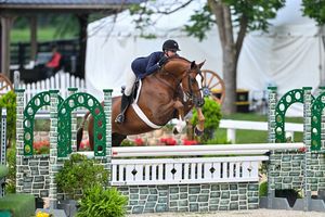 Image post by @kyhorseshows on Instagram