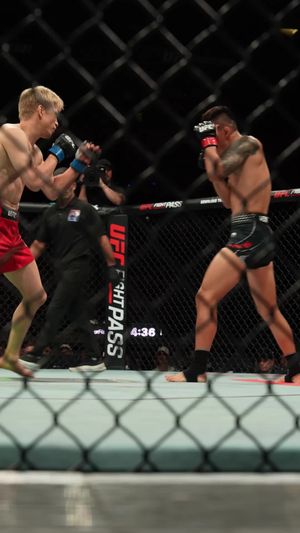 Video post by @ufcbrasil on TikTok