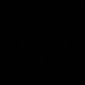 Image post by @tmeier96 on Instagram