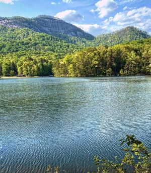 Image post by @southcarolina on Instagram