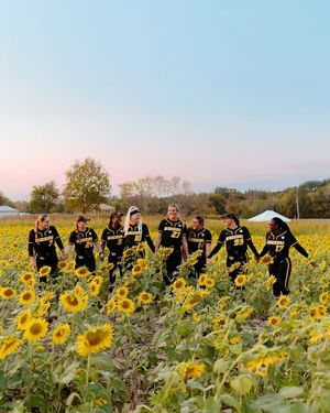 Image post by @ncaasoftball on Instagram