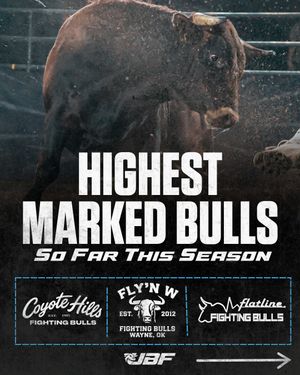 Image post by @ultimatebullfighters on Instagram