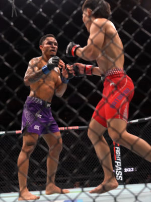 Video post by @ufcbrasil on TikTok