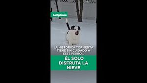 Video post by @laopinionla on YouTube