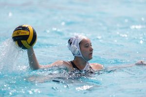Image post by @Pwaterpolo on Twitter