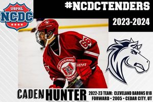 Image post by @usphlhockey on Instagram