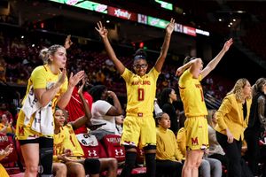 Image post by @TerpsWBB on Twitter
