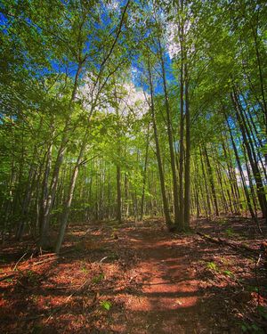 Image post by @motorcityaxe on Instagram