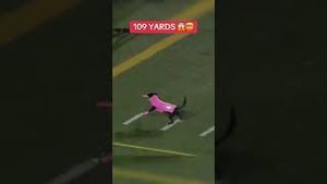 Video post by @espn on YouTube