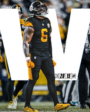 Image post by @steelers on Instagram