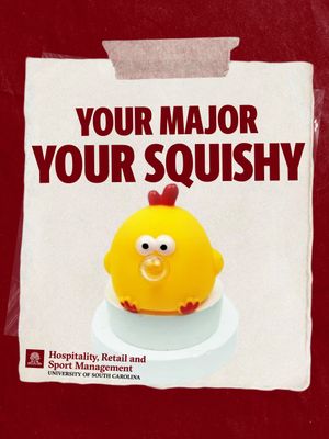 Image post by @uofsc_hrsm on Instagram