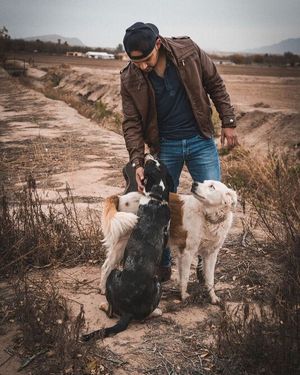 Image post by @frankraymusic on Instagram