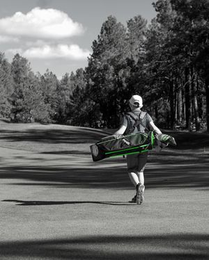 Image post by @pingtour on Instagram