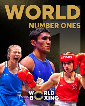 Image post by @officialworldboxing on Instagram
