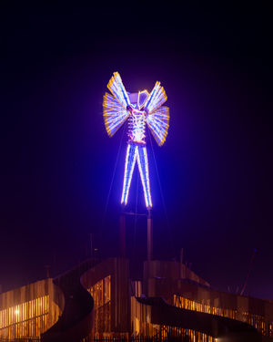 Image post by @burningman on Instagram
