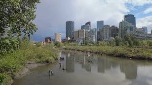Video post by @cmcalgary on YouTube