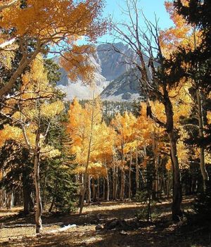 Image post by @nationalparkservice on Instagram