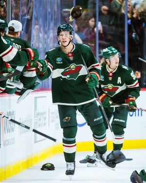 Image post by @minnesotawild on Instagram
