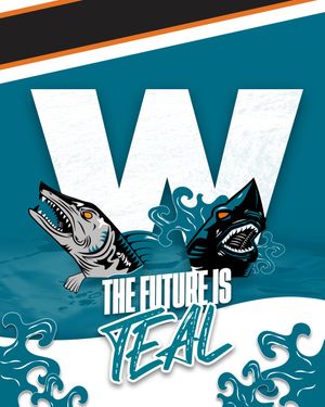 Image post by @sjbarracuda on Instagram