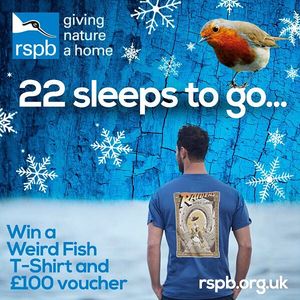 Image post by @rspb on Instagram
