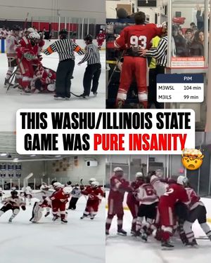 Image post by @hockeyhousepod on Instagram