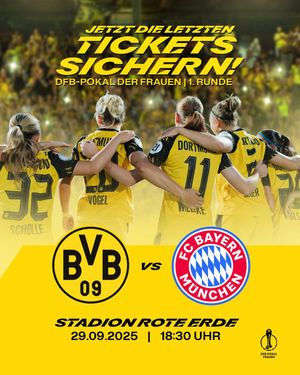 Image post by @BVB on Twitter