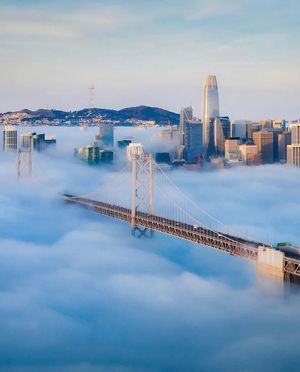 Image post by @usfca on Instagram