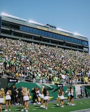 Image post by @goducks on Instagram