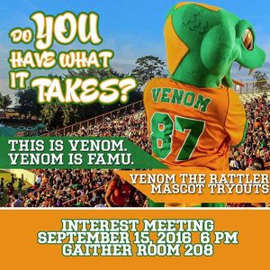 Image post by @famuathletics on Instagram