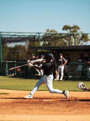 Image post by @demarini on Instagram