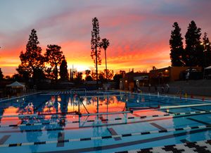 Image post by @usawp on Instagram