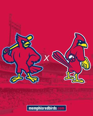 Image post by @memphisredbirds on Instagram