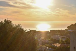 Image post by @pepperdinewaves on Instagram