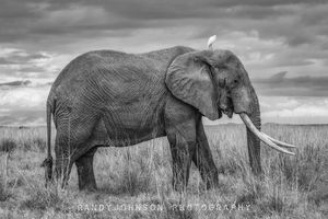 Image post by @rj51photos on Instagram