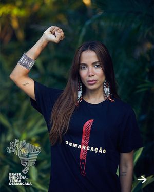 Image post by @anitta on Instagram