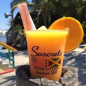 Image post by @seacretsusa on Instagram