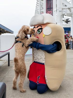 Image post by @clehotdogs on Instagram