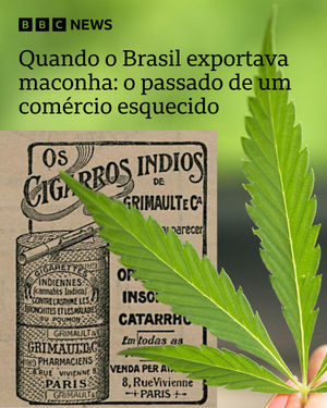 Image post by @bbcbrasil on Instagram