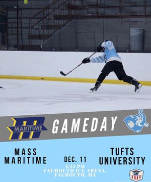 Image post by @mmahockey on Instagram