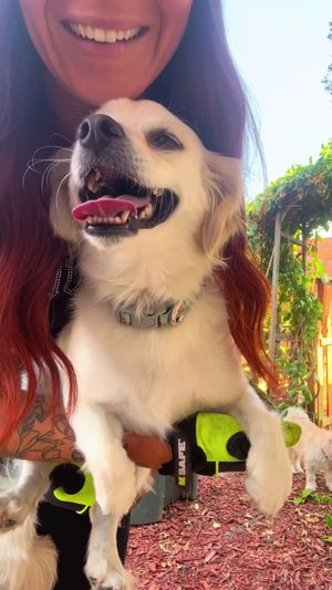 Video post by @acoalcorn13 on TikTok
