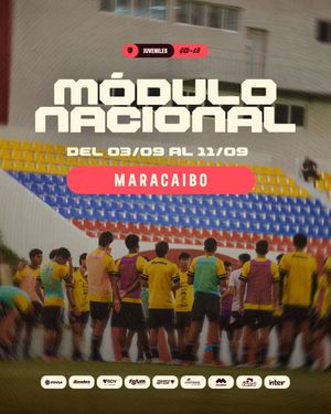 Image post by @selevinotinto on Instagram