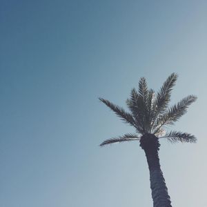 Image post by @creative_moxie on Instagram
