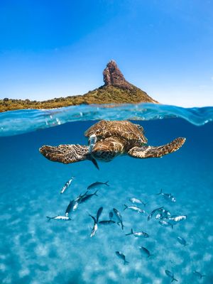 Image post by @gopro on Instagram