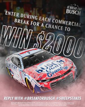 Image post by @BuschBeer on Twitter